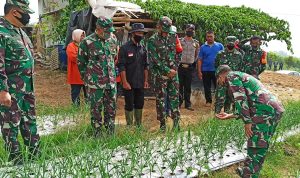 Aster Panglima TNI Tinjau Lokasi Ketahanan Pangan di Pacet Cianjur