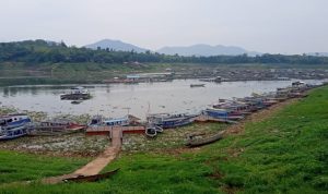 Produksi Ikan di Jangari Cianjur Turun hingga 50 Persen, Ini Penyebabnya