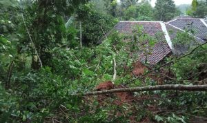 Longsor Terjang Kadupandak Cianjur, Timbun Jalan dan Dua Rumah Warga Longsor Terjang Kadupandak Cianjur, Timbun Jalan dan Dua Rumah Warga