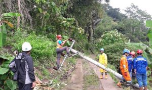 Pasca Angin Kencang Melanda Cianjur, Listrik Berangsur Normal