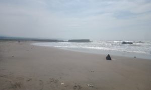 Wisatawan Tenggelam Terseret Ombak di Pantai Jayanti Cianjur