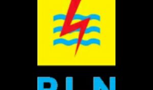 Ringankan Beban Masyarakat, PLN Perpanjang Stimulus Covid-19 Hingga Maret 2021