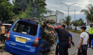 Pohon Tumbang di Cianjur, Timpa Angkot dan Pick Up