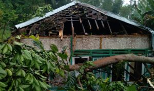 Hujan Es Disertai Angin Kencang Landa Padamulya Pasirkuda Cianjur