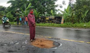 Truk Bermuatan Bahan Gulungan Kabel Terperosok ke Kebun di Jalan Lingkar Timur Cianjur