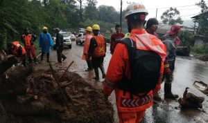 Diguyur Hujan, Tebing Setinggi 6 Meter di Ciloto Cianjur Ambrol