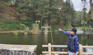 Bakal Jadi Wisata Edukasi, Ini Danau Dengan Pemandangan Hutan Pinus Di Pasawahan Takokak Cianjur Bakal Jadi Wisata Edukasi, Ini Danau Dengan Pemandangan Hutan Pinus Di Pasawahan Takokak Cianjur