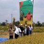 Wagub Jabar Panen Raya Padi Inovasi Teknologi Jamu Biogro di Bojongpicung Cianjur