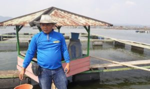 Harga Pakan Ikan Naik Selangit, KPKJA Minta Pemerintah Bantu Cari Solusi