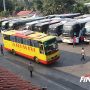 Mudik Lokal Diizinkan, Catat Wilayahnya