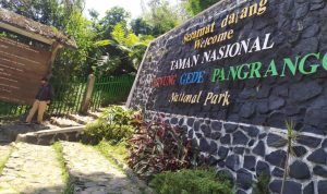 Pendakian Gunung Gede Pangrango Dibuka Kembali, Jumlah Pendaki Dibatasi