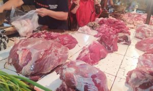 Lewat iPanganandotcom, Bulog Layani Pembelian Daging Kerbau dan Sapi Beku