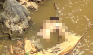 Tim SAR Temukan Jasad Warga yang Tenggelam di Sungai Cibuni Cianjur