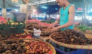 Pasca Idul Fitri, Harga Jengkol di Cianjur Tembus Rp100 Ribu per Kilogram