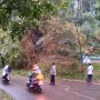 Pohon Tumbang di Ruas Jalan Cibeber-Campaka, BPBD Cianjur: Sudah Lancar Tapi Masih Buka Tutup