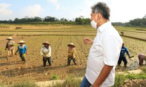 Peringati Hari UMKM Nasional, Dirut BRI Ajak Pelaku UMKM Jadi Lokomotif Kebangkitan Ekonomi Indonesia