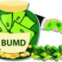 Dua BUMD Bantah Nyaris Pailit