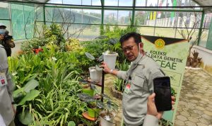 Kementan Sebar 50 Ribu Bibit Tanaman Hias ke Petani