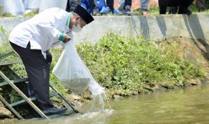 Uu Ruzhanul Tebar Seribu Benih Ikan di Sungai Surakatiga Kuningan