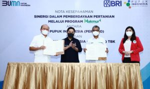 Sinergi Pupuk Indonesia dan BRI, Program Makmur Jadi Solusi Pemberdayaan Petani Nasional