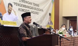 Budhy Setiawan Dorong Cianjur Jadi Sentra Budidaya Jagung Hibrida