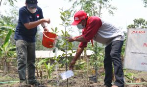 Lestarikan Keanekaragaman Hayati, AHM Tanam 1200 Pohon di Jabar