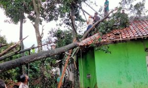 Angin Puting Beliung Terjang Dua Desa di Karangtengah Cianjur, 11 Rumah Rusak