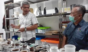 Melalui Digitalisasi Kopi Wanoja Mampu Permudah Integrasi Produktivitas Produk