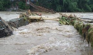 Cianjur Dilanda Cuaca Ekstrem, Bencana Longsor hingga Pohon Tumbang