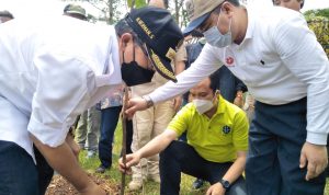 BRIN Selamatkan 22 Jenis Tanaman Langka Nusantara