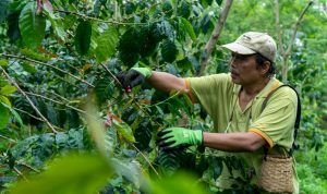 Kemenperin Gelar Diklat 3 in 1 Barista