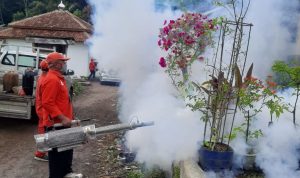 Belasan Warga Desa Cibadak Cibeber Cianjur Terjangkit Cikungunya