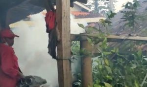 Dua Warga Jadi Korban DBD, Pihak Desa Lakukan Fogging