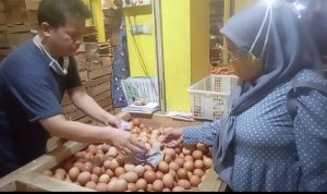 Sempat Melambung Tinggi, Harga Telur Ayam Berangsur Turun