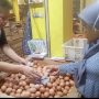 Sempat Melambung Tinggi, Harga Telur Ayam Berangsur Turun