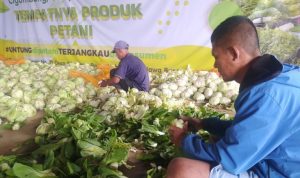 Stok Banyak, Harga Sayuran Anjlok