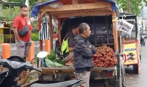 Petani di Cianjur Punya Cerita Unik Rambutan dan Sayuran