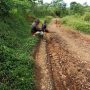 Pemkab Cianjur Alokasikan Anggaran Perbaikan Jalan Rp80 M Tahun Ini