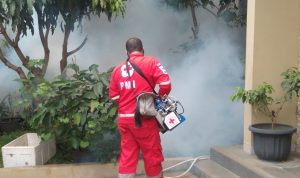 Cegah DBD, PMI Cianjur Siap Layani Fogging