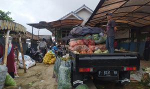 Harga Sayuran Masih Murah, Begini Tanggapan BUMD Cianjur Sugih Mukti