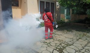 PMI Cianjur Banyak Terima Permintaan Fogging