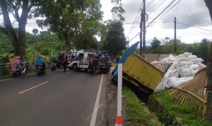 Truk Pengangkut Pupuk Kandang Terperosok