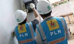 Ngaku Petugas PLN, Maling Berhasil Gasak Handphone