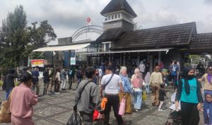 Libur Lebaran, Pengunjung Kebun Raya Cibodas Mulai Meningkat