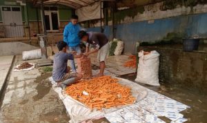 Diskoperdagin Sebut Harga Sayuran Mahal karena Petani Memilih Menjual Keluar Cianjur