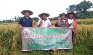Dukung Program Petani Manjur, PT CSM Siap Jadi Off-taker