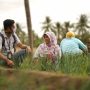 Pemerataan Ekonomi Jadi Alasan Kuat BRI Dorong Inklusi Keuangan