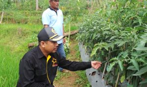 Fraksi PKS Cianjur Kawal Raperda Perlindungan dan Pemberdayaan Petani