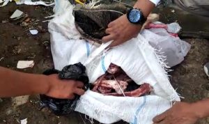 APPDAS Minta Ada Tindakan Tegas Soal Ditemukan Potongan Kulit, Tulang dan Kepala Babi di Seputaran Cipanas