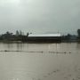 Sungai Cikondang Meluap, Puluhan Hektare Sawah Rusak Terendam Banjir di Cibeber Cianjur